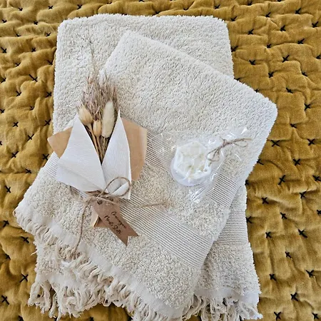 Villa Magnifique Avec Piscine- Hauteurs De