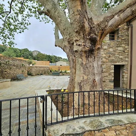 Magnifique Avec Piscine- Hauteurs De *