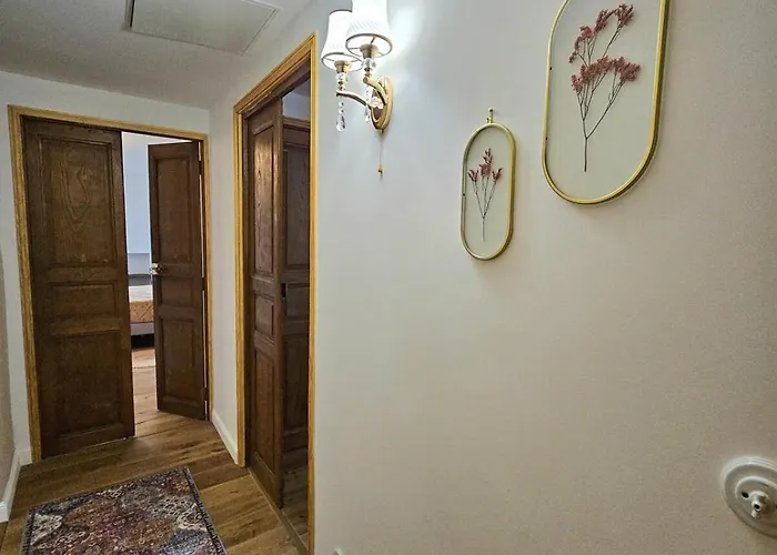 Magnifique Avec Piscine- Hauteurs De * 巴斯蒂亚