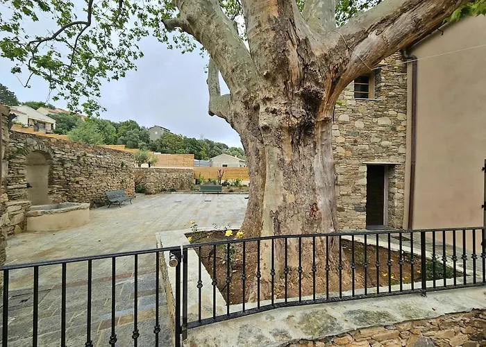 Magnifique Avec Piscine- Hauteurs De *