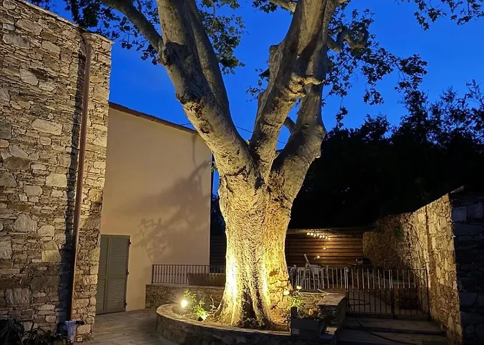 Magnifique Avec Piscine- Hauteurs De 别墅 *